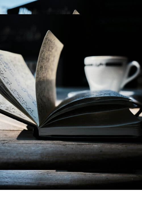 High-Quality Review Paper Writing Help